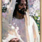 Abide