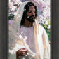 Abide