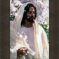 Abide