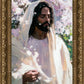 Abide