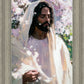 Abide