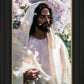 Abide