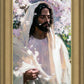 Abide