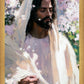 Abide