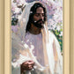Abide