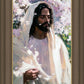 Abide