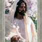 Abide