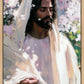 Abide