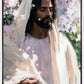 Abide
