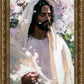 Abide