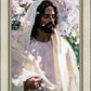 Abide