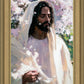 Abide
