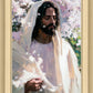 Abide