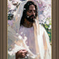 Abide