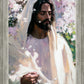 Abide