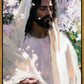 Abide