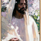 Abide