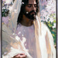 Abide