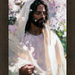 Abide