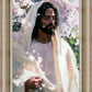 Abide