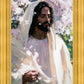 Abide