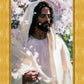 Abide