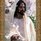 Abide