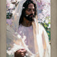 Abide