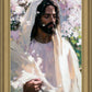 Abide
