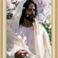 Abide