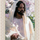 Abide