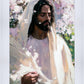 Abide