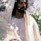 Abide