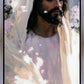 Abide