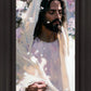 Abide