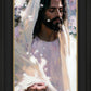 Abide