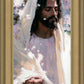Abide
