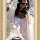 Abide
