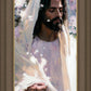 Abide