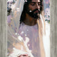 Abide