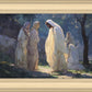 In His Presence