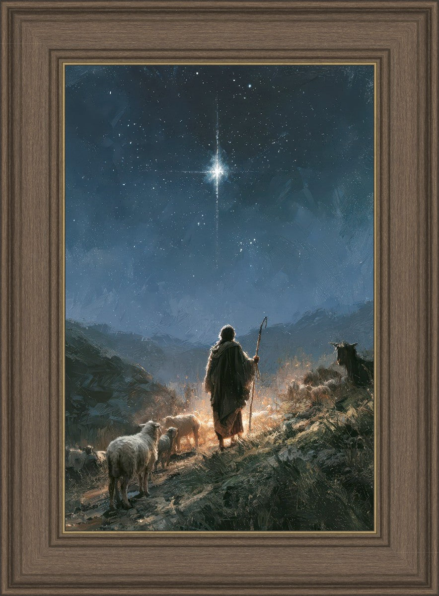 The Shepherd's Star