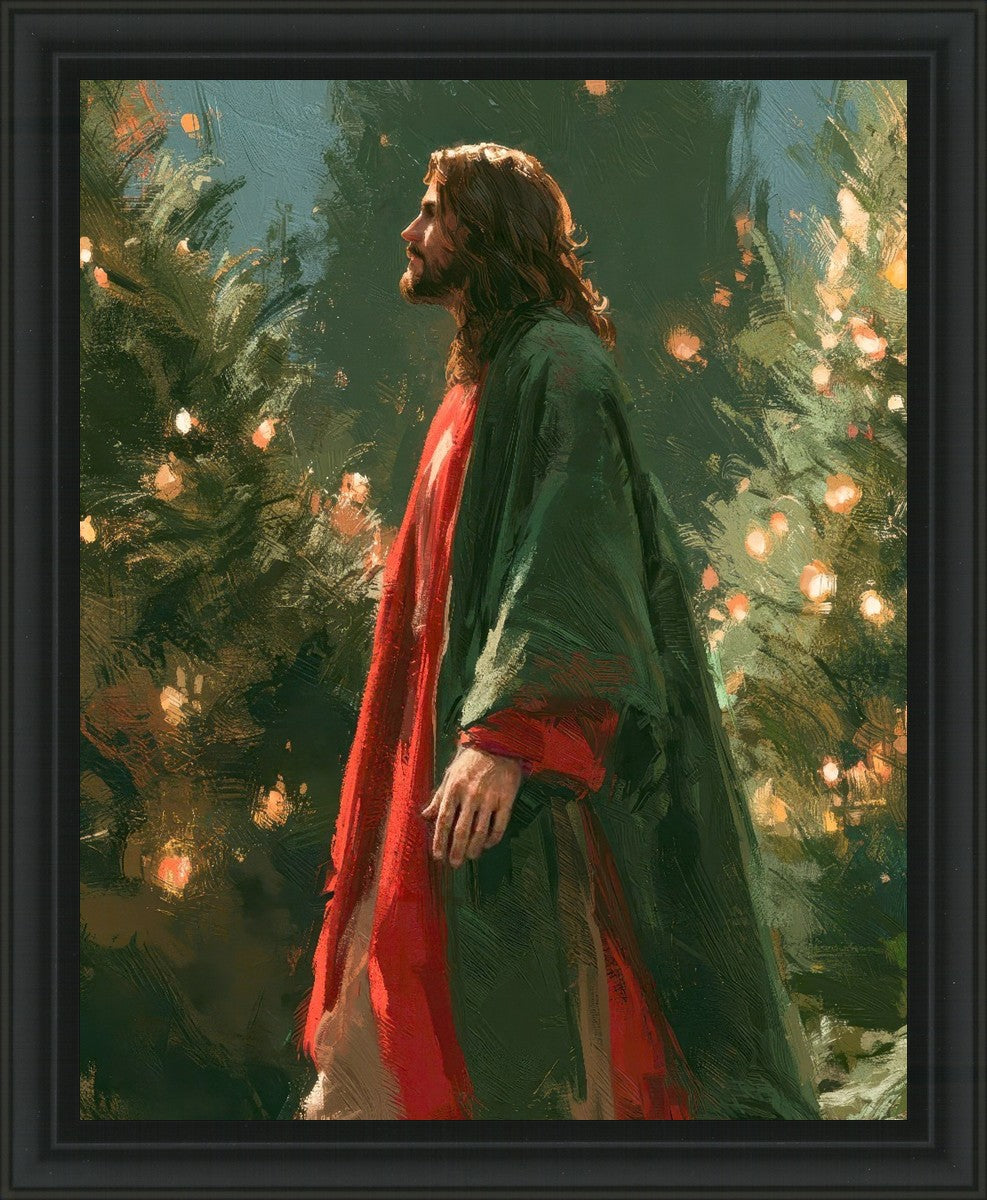 Light of the Season