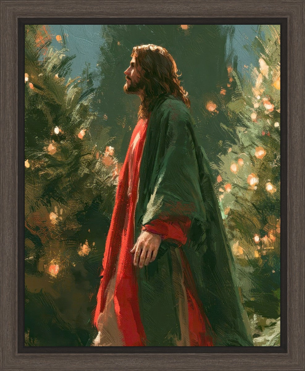 Light of the Season