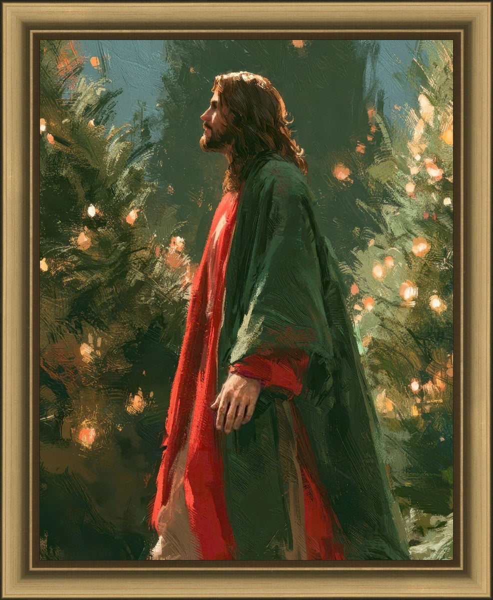 Light of the Season