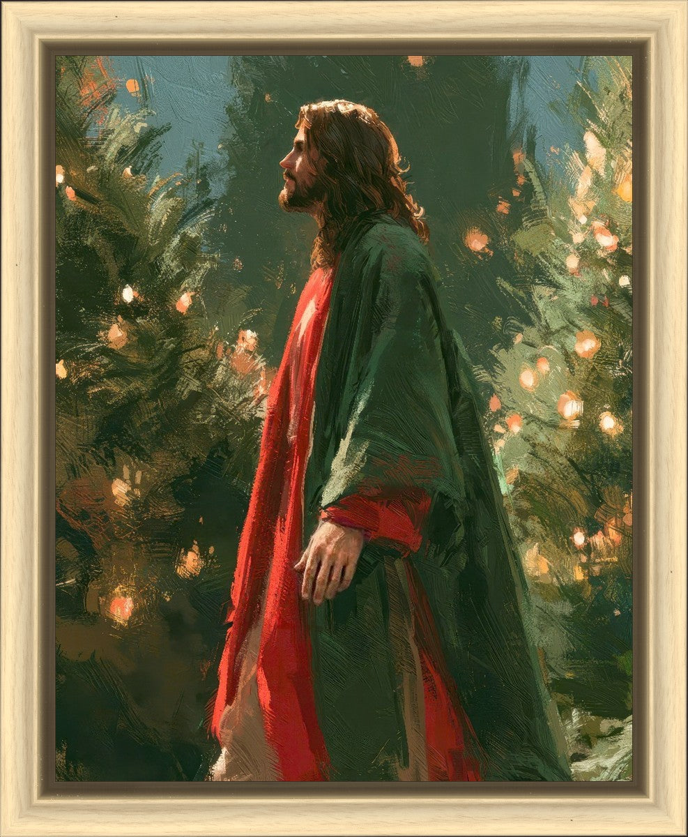 Light of the Season
