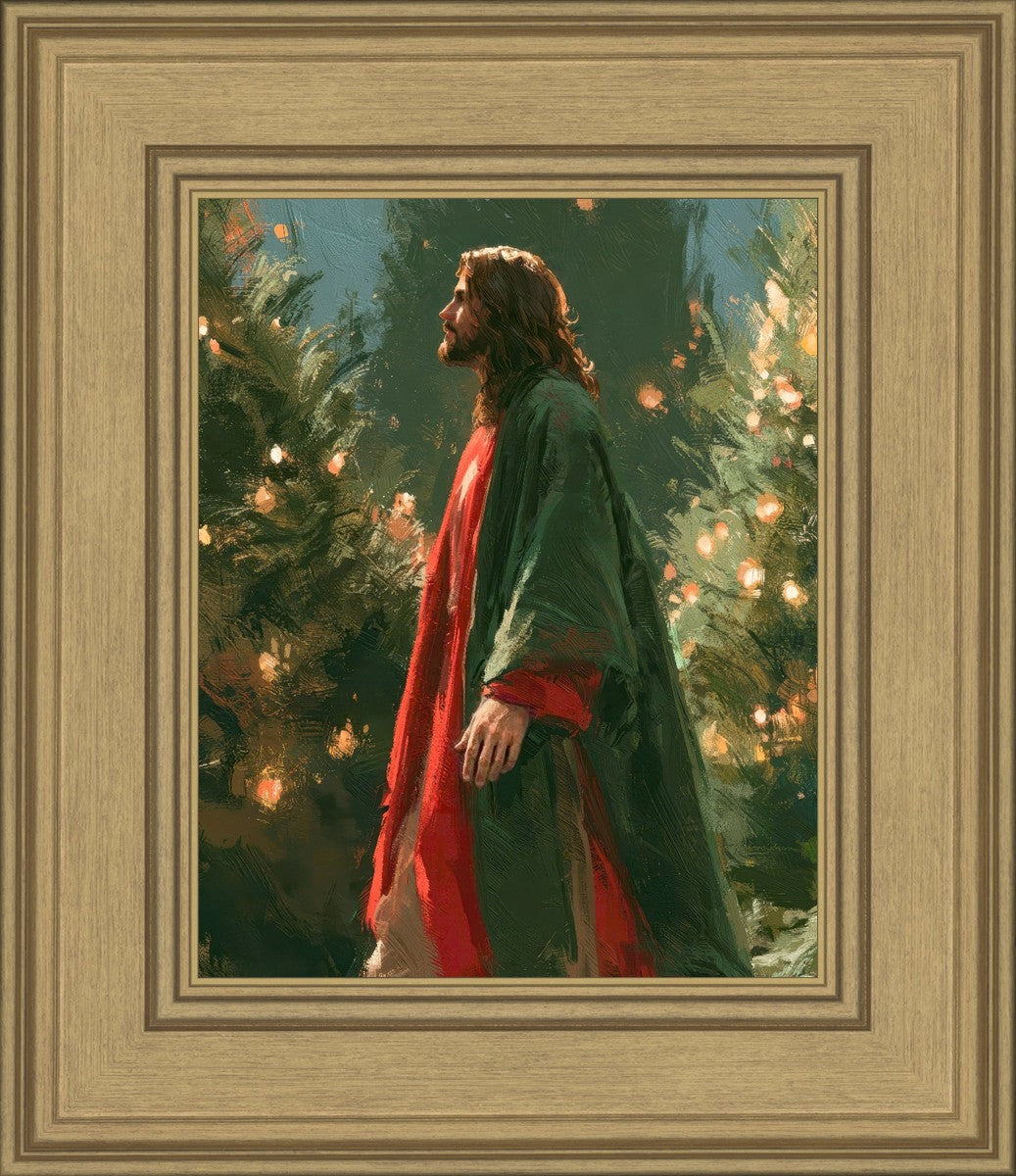 Light of the Season