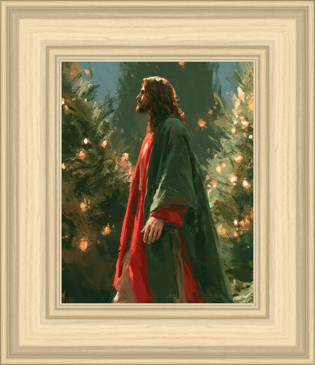 Light of the Season