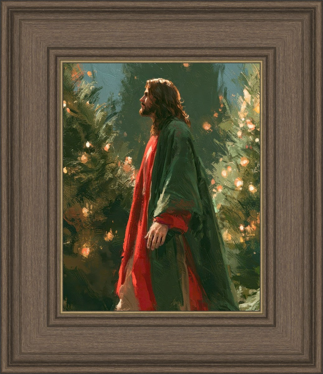 Light of the Season