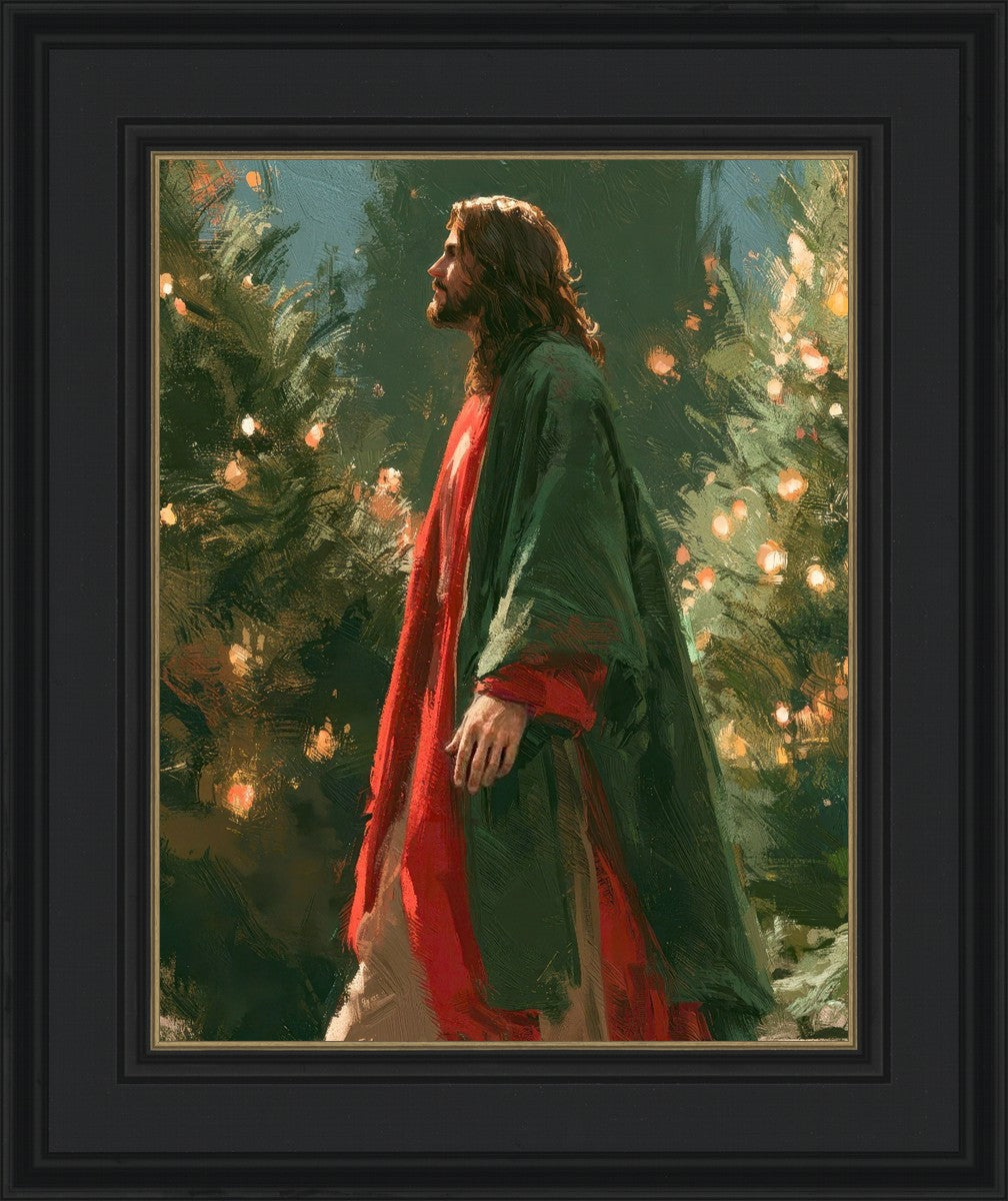 Light of the Season